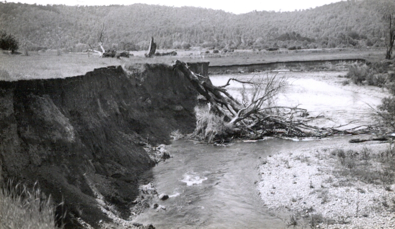 erosion 1950